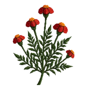 Illustration of Yarrow 'Paprika'