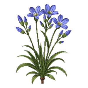 Illustration of African lily