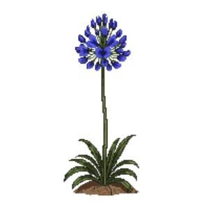 Illustration of African Lily 'Headbourne Hybrids'