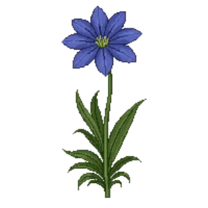 Illustration of African lily 'Northern Star'
