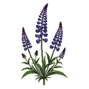 Illustration of Hummingbird Mint 'Blue Boa'