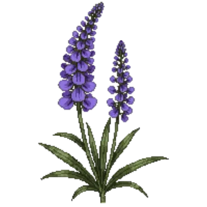 Illustration of Hyssop 'Blue Fortune'