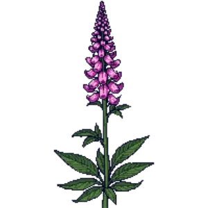 Illustration of Hummingbird Mint