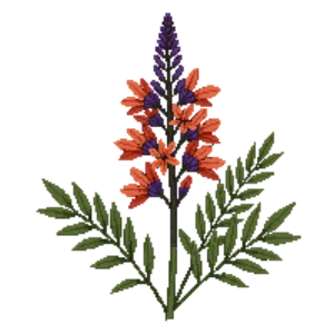 Illustration of Sunset Hyssop