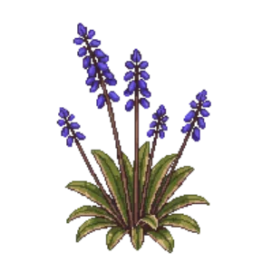Illustration of Bugle 'Burgundy Glow'