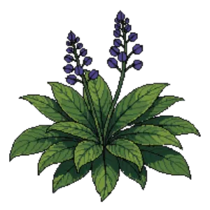 Illustration of Bugle