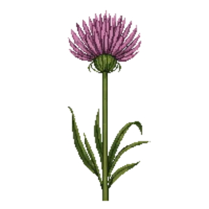 Illustration of Prairie Onion