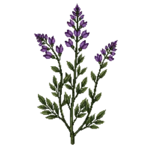 Illustration of Leadplant