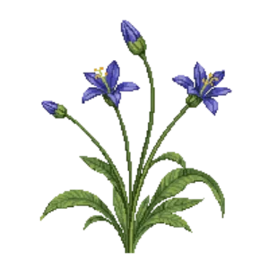 Illustration of Fringed Bluestar