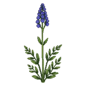Illustration of Threadleaf Bluestar