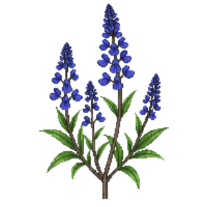 Illustration of Ozark Bluestar