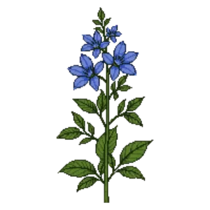 Illustration of Eastern Bluestar