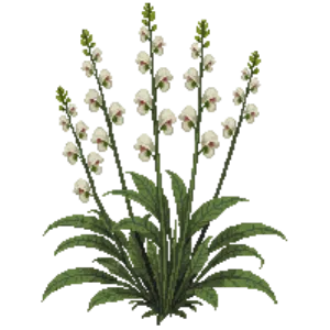 Illustration of Snapdragon