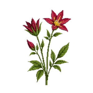 Illustration of Red Columbine