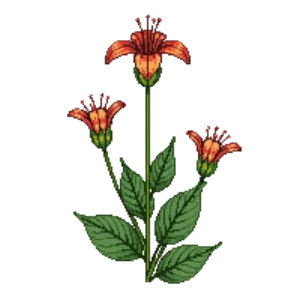 Illustration of Serpentine Columbine