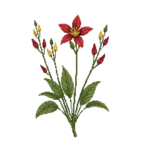 Illustration of Western Columbine