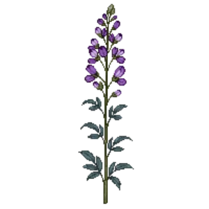 Illustration of Granny's Bonnet