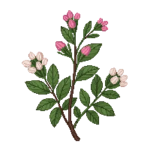 Illustration of Bearberry
