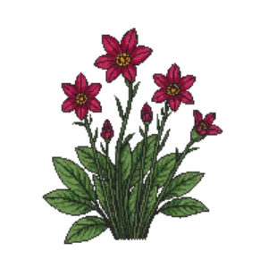 Illustration of Wild Ginger