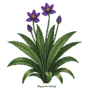 Illustration of Cast-Iron Plant
