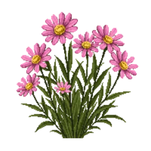 Illustration of Michaelmas Daisy 'Patricia Ballard'