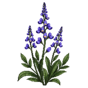 Illustration of False Indigo