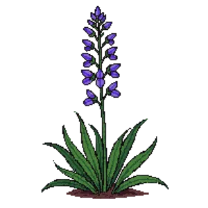 Illustration of False Indigo 'Twilite Prairieblues'