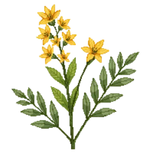 Illustration of Cascade Oregon Grape