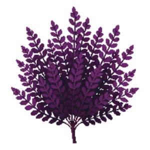 Illustration of Dwarf Purple Barberry