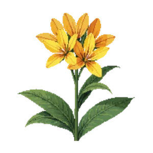 Illustration of Golden Stars