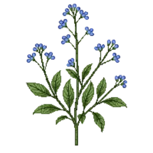 Illustration of Brunnera 'Jack Frost'