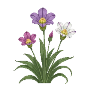 Illustration of Butterfly Mariposa Lily