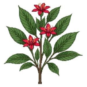 Illustration of Carolina Allspice