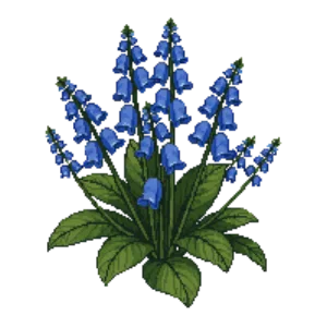 Illustration of Carpathian Bellflower 'Blue Clips'