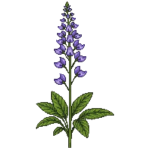 Illustration of Milky Bellflower 'Prichard's Variety'