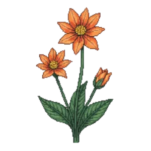 Illustration of Canna 'Tropicanna'