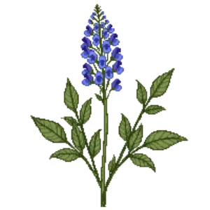 Illustration of Bluebeard