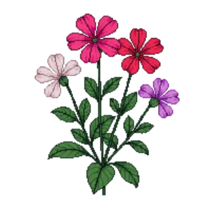 Illustration of Annual Vinca
