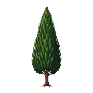 Illustration of Upright Plum Yew