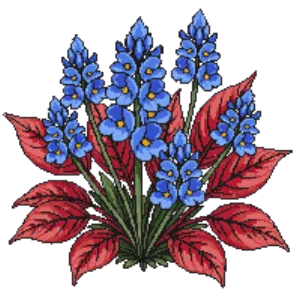 Illustration of Hardy Plumbago