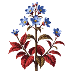 Illustration of Chinese plumbago