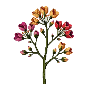 Illustration of Flowering Quince