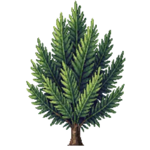 Illustration of False Cypress 'Soft Serve'