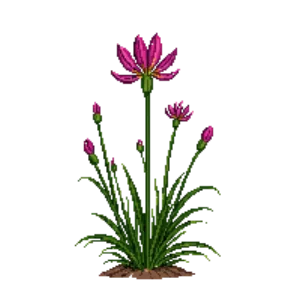 Illustration of Turtlehead