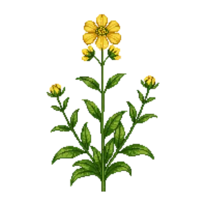Illustration of Green-and-Gold