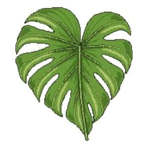 Illustration of Elephant Ear
