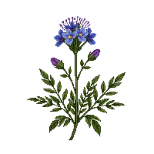 Illustration of Blue Mistflower