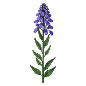 Illustration of Palmleaf Mistflower