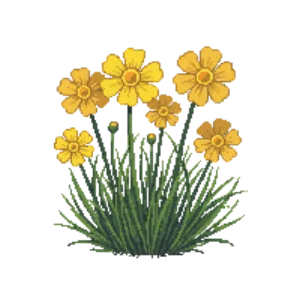 Illustration of Tickseed 'Zagreb'