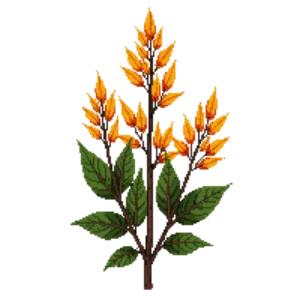 Illustration of Dogwood 'Midwinter Fire'